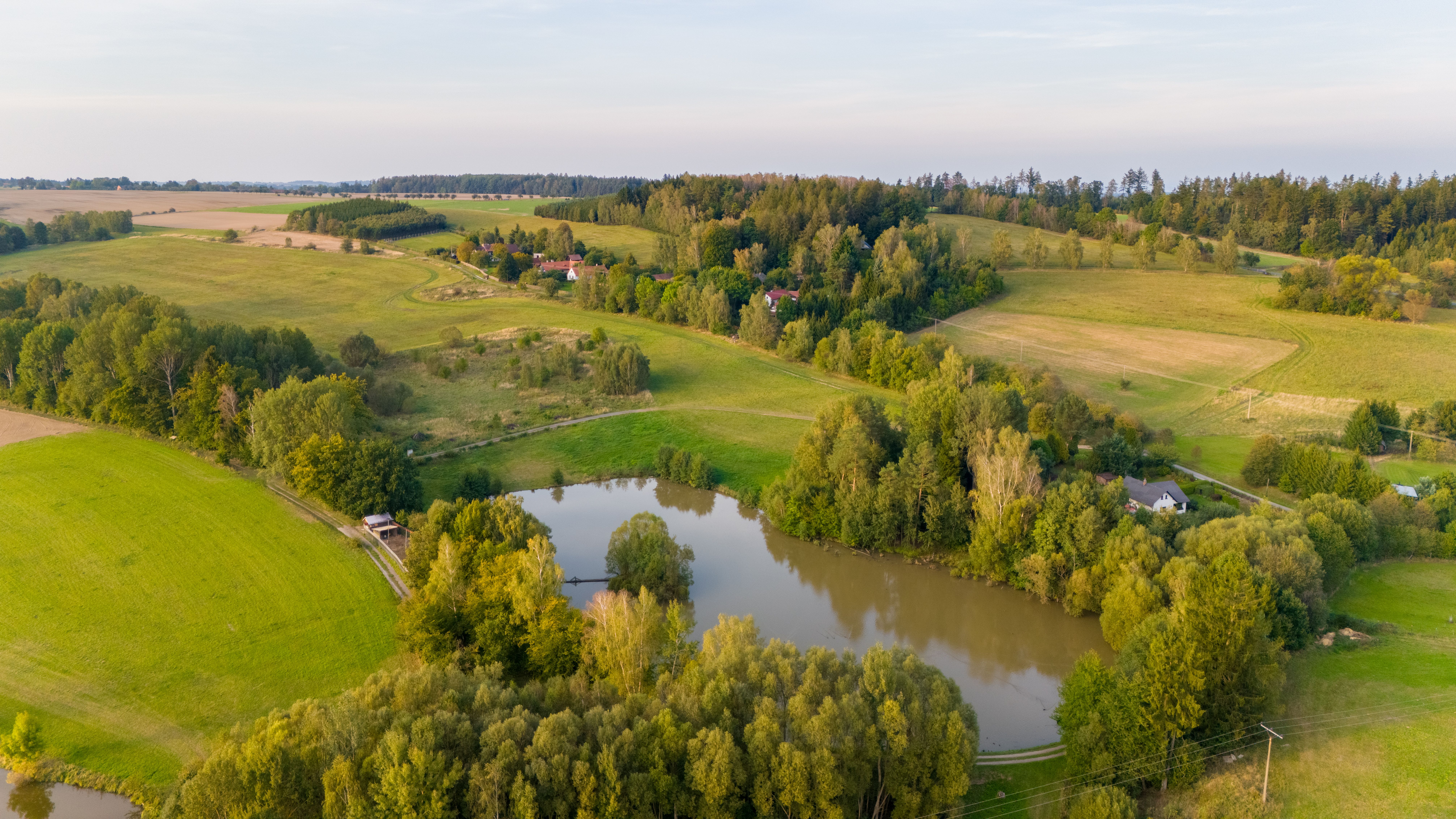 Inwentaryzacja przyrodnicza na terenie inwestycji