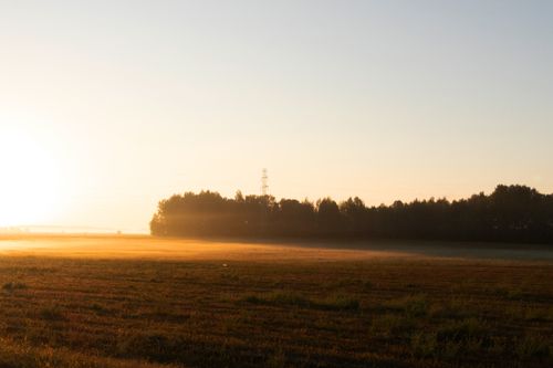 Free A tranquil sunrise scene with mist over a vast field and distant trees, evoking peace. Stock Photo