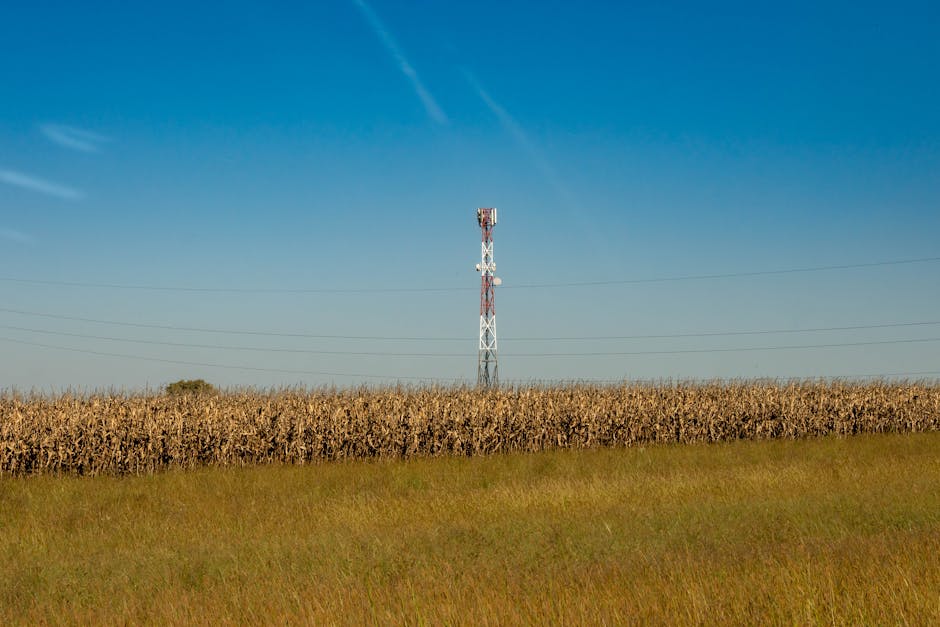 A communication tower in a rural field with a clear blue sky.