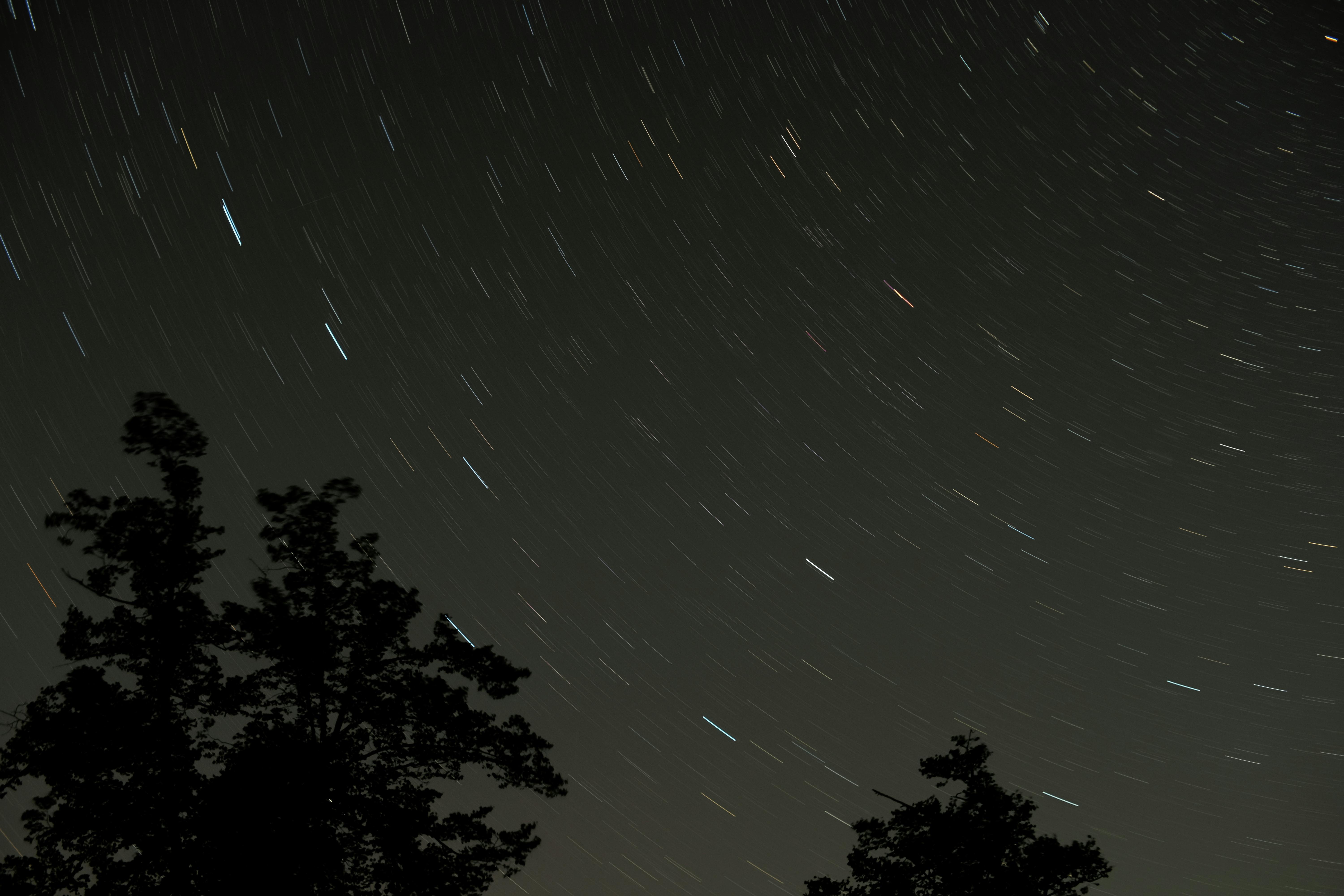 Long exposure of star trails creating arcs in the night sky over silhouetted trees.