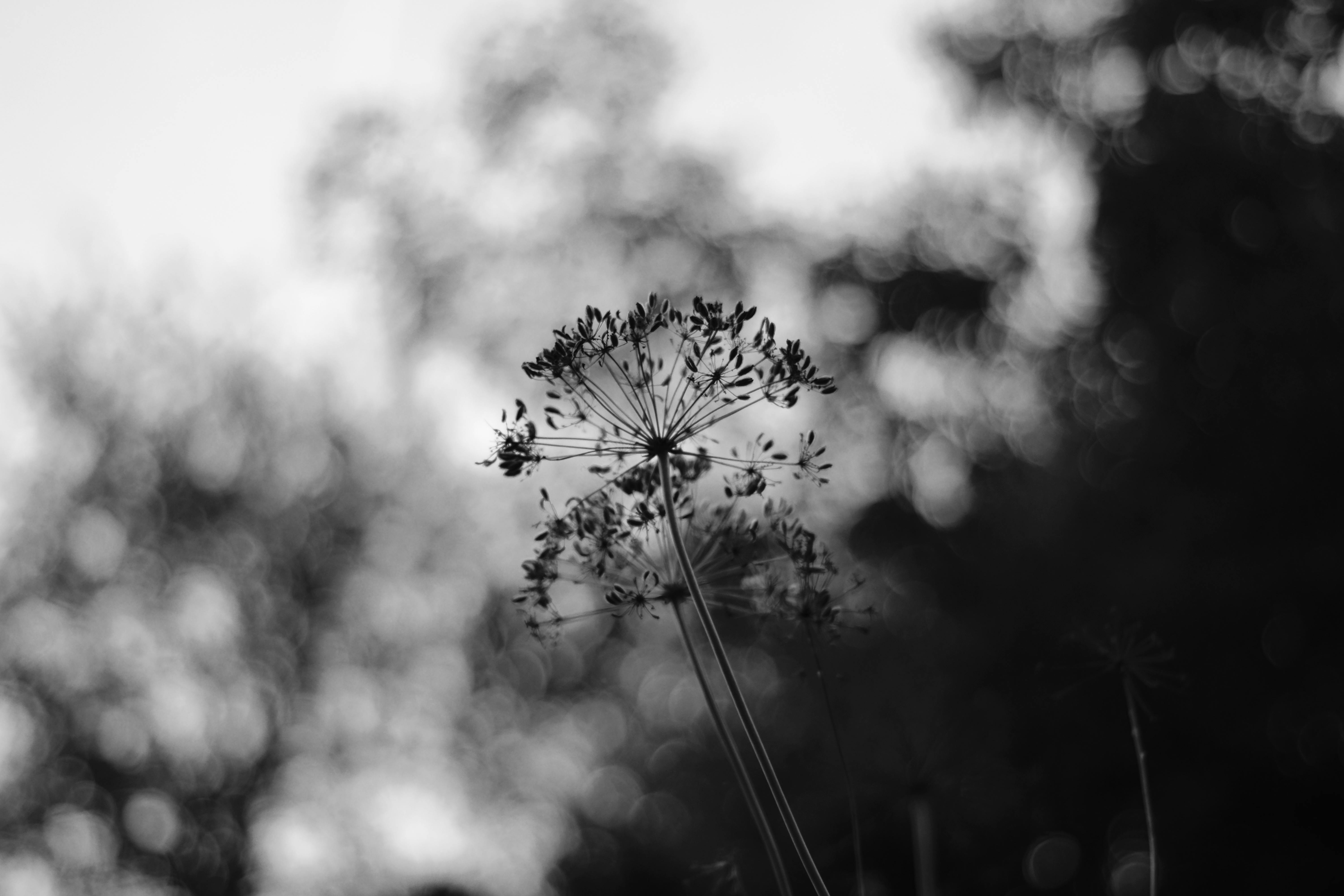 Black&Blue Background Photos, Download The BEST Free Black&Blue