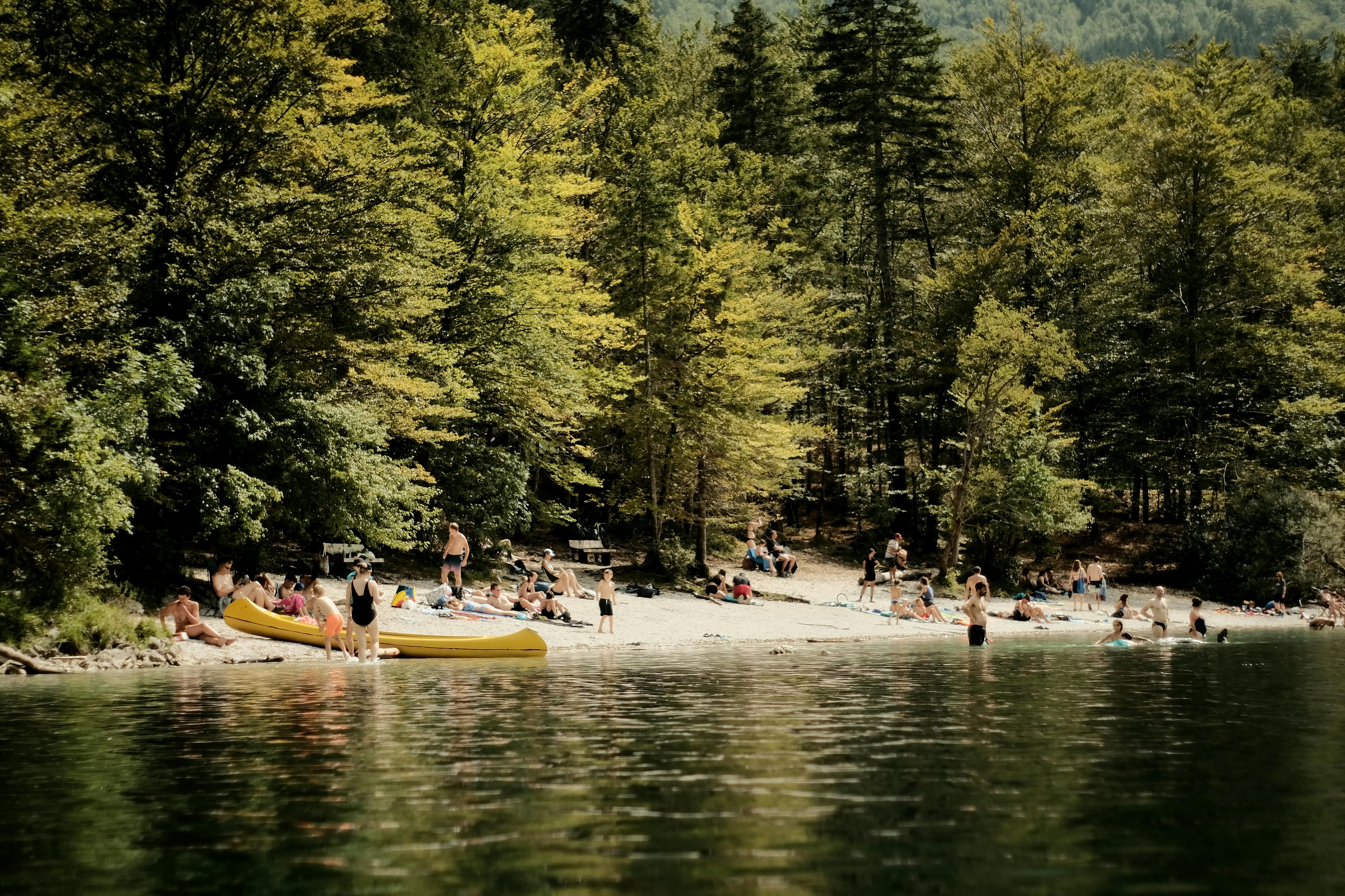 Explore the Best Family Hotels in Slovenia for an Unforgettable Vacation