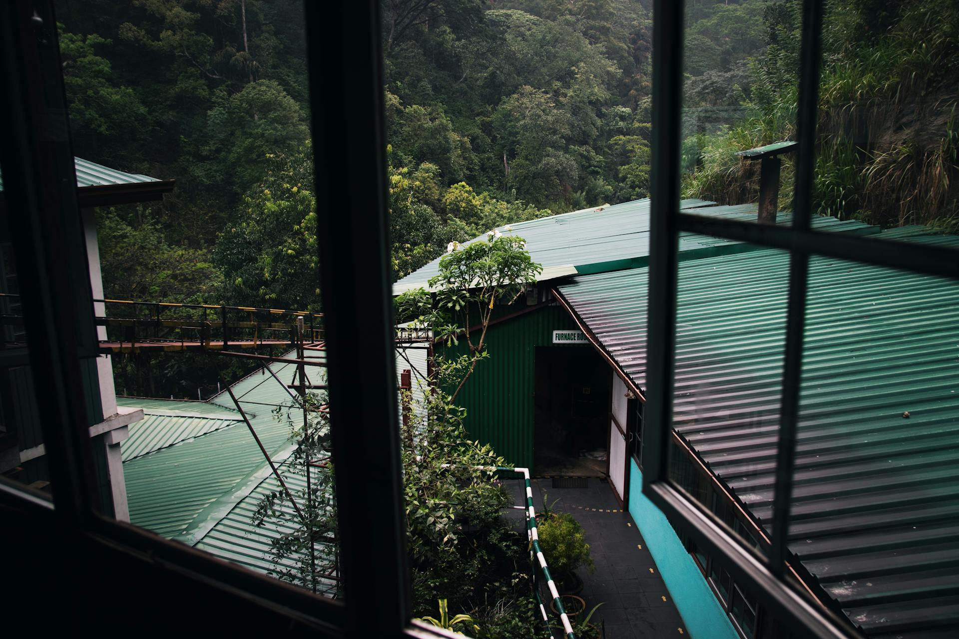 View of green roof buildings through window