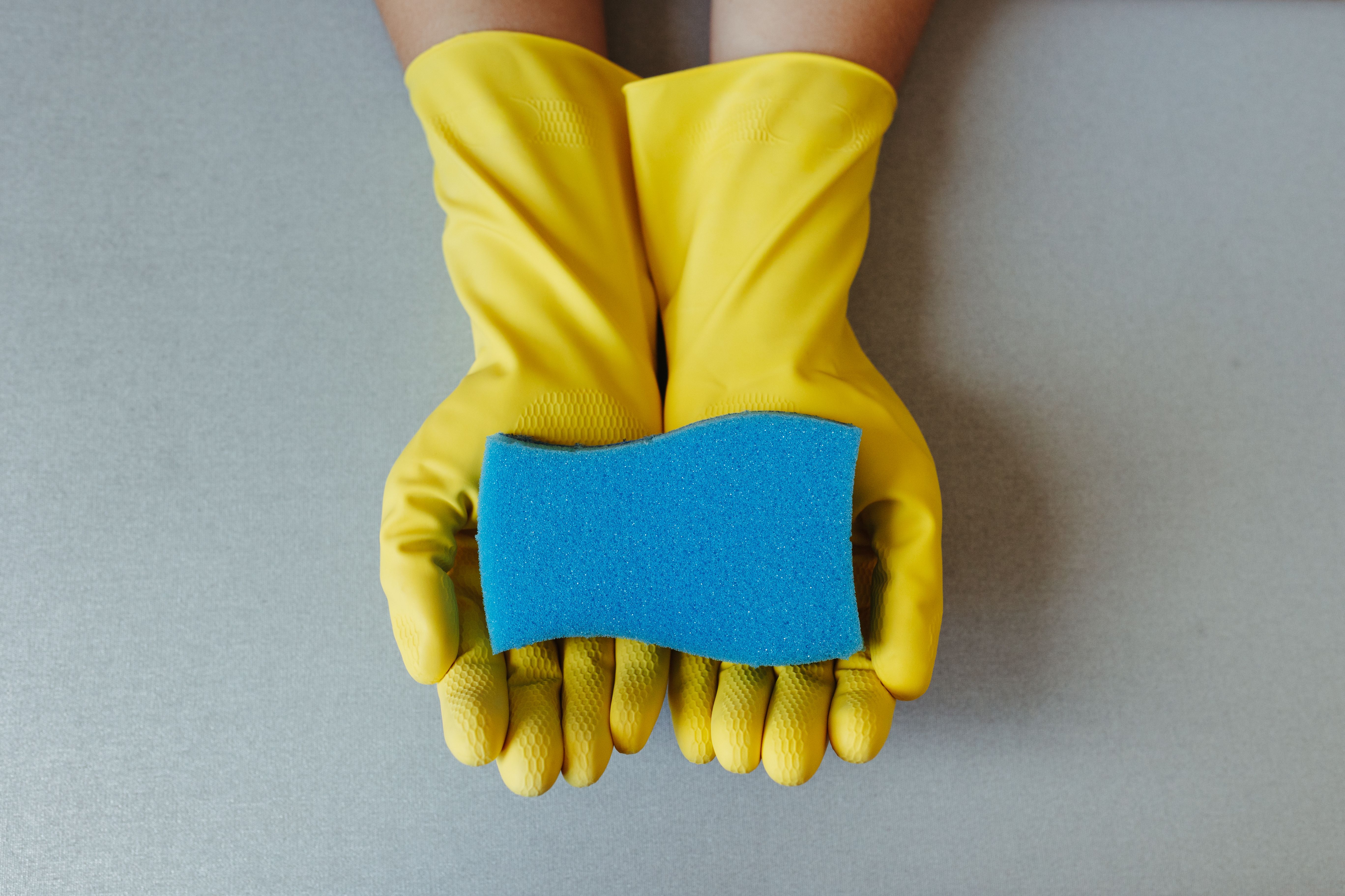 Yellow rubber gloves hold a blue sponge, symbolizing cleaning and hygiene.