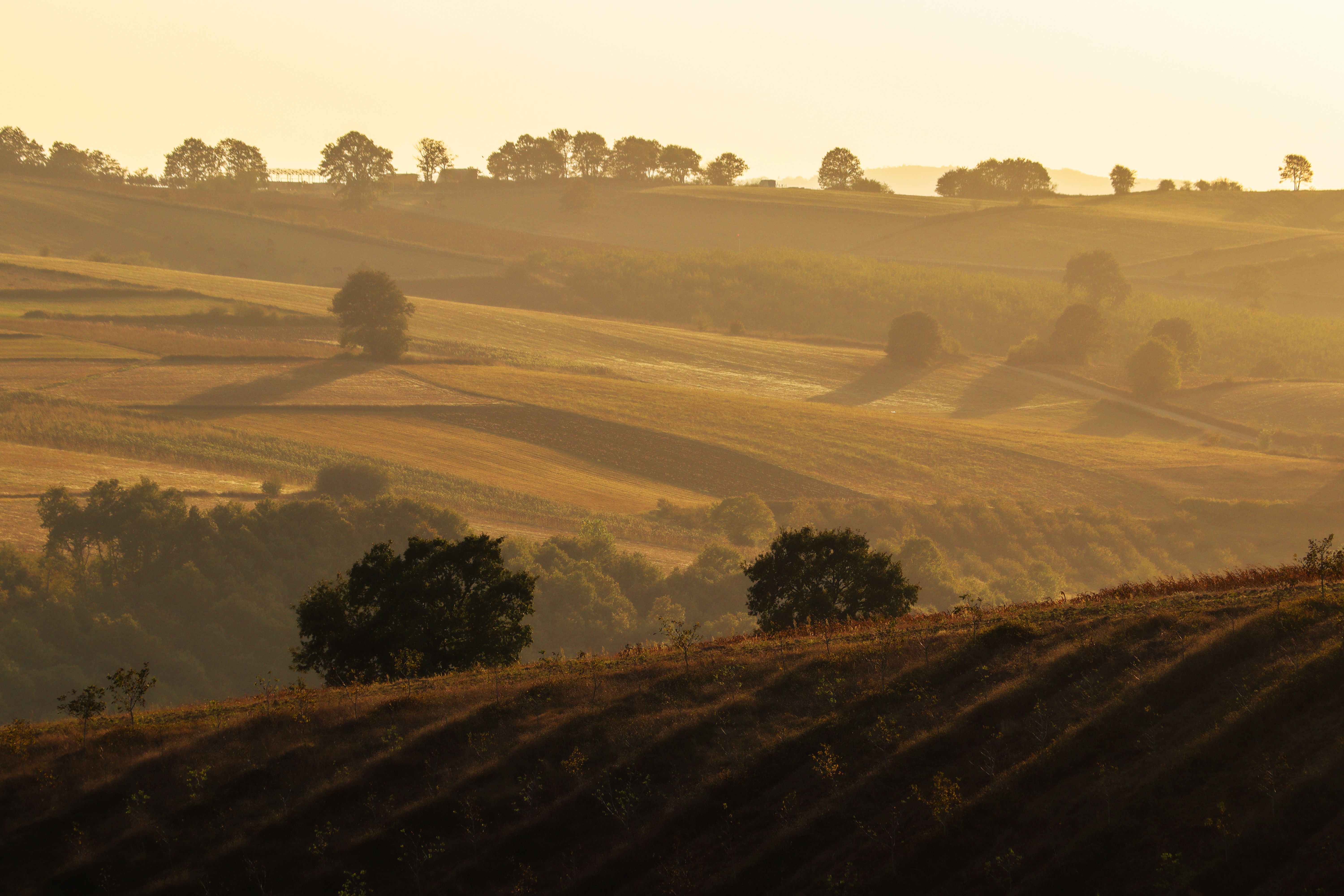 Golden sunlight resting over a wide open grass ridge