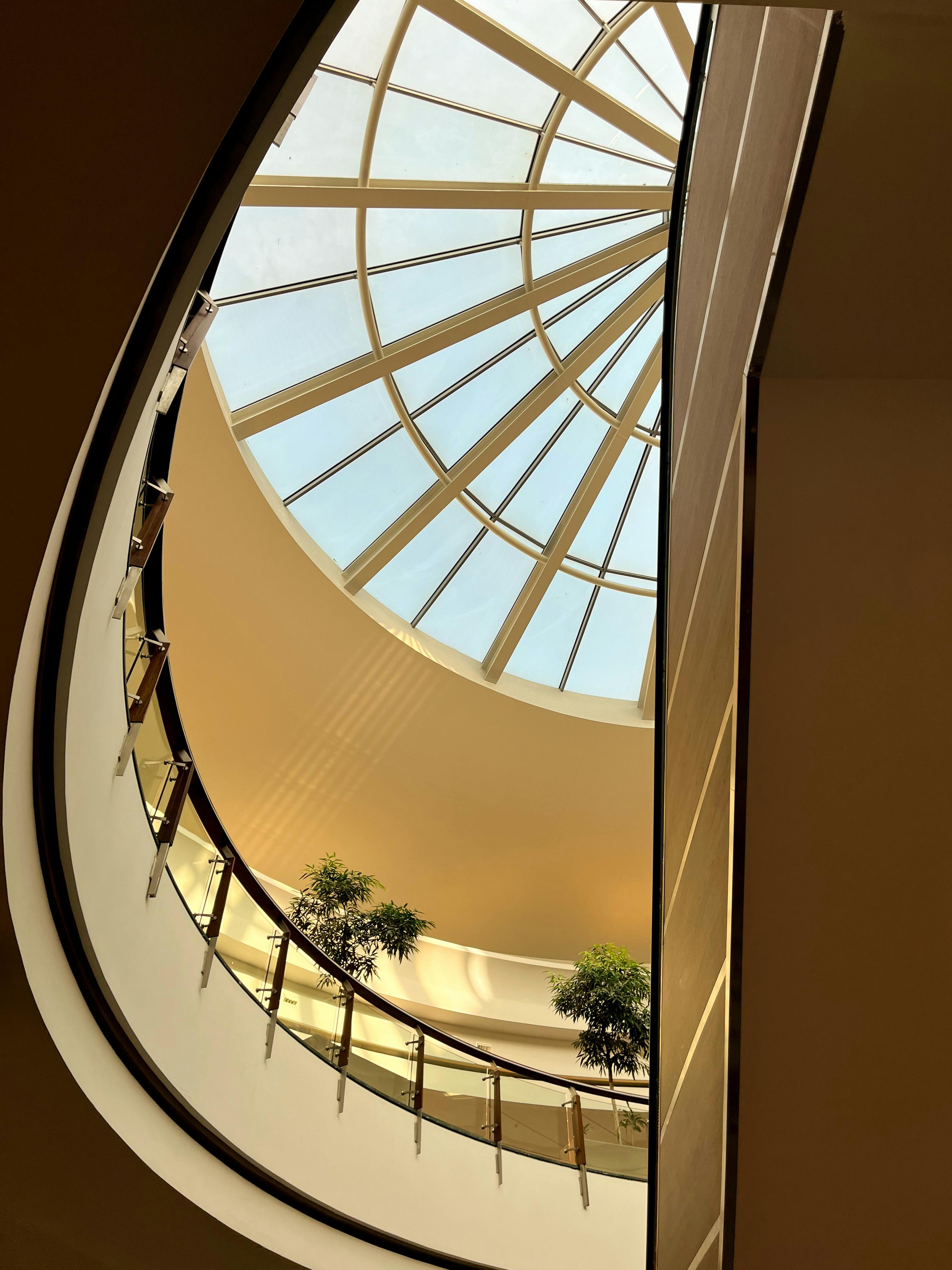Beautiful modern architecture featuring a large skylight and indoor plants.