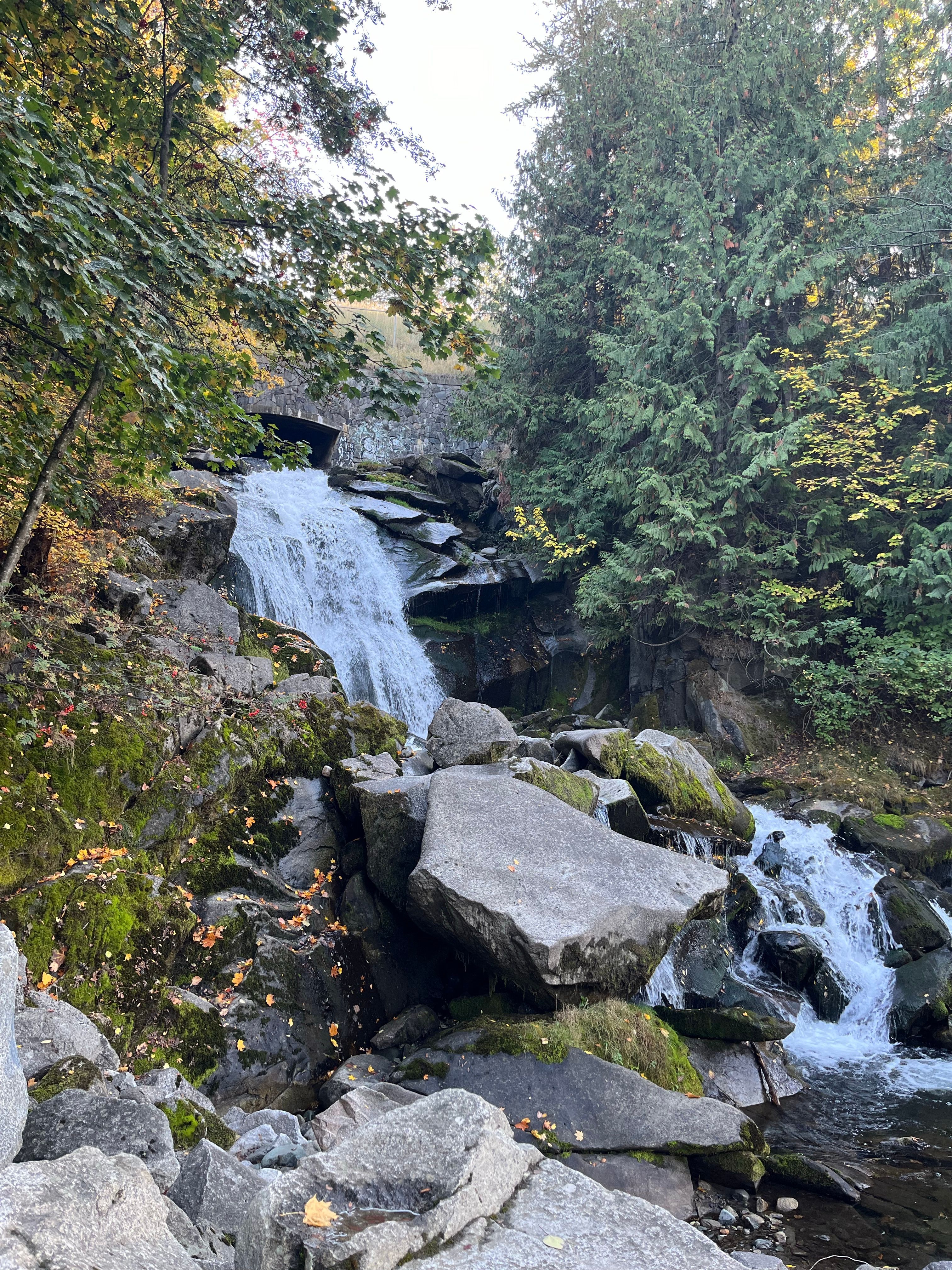 Beautiful Waterfall in Lush Forest Setting · Free Stock Photo
