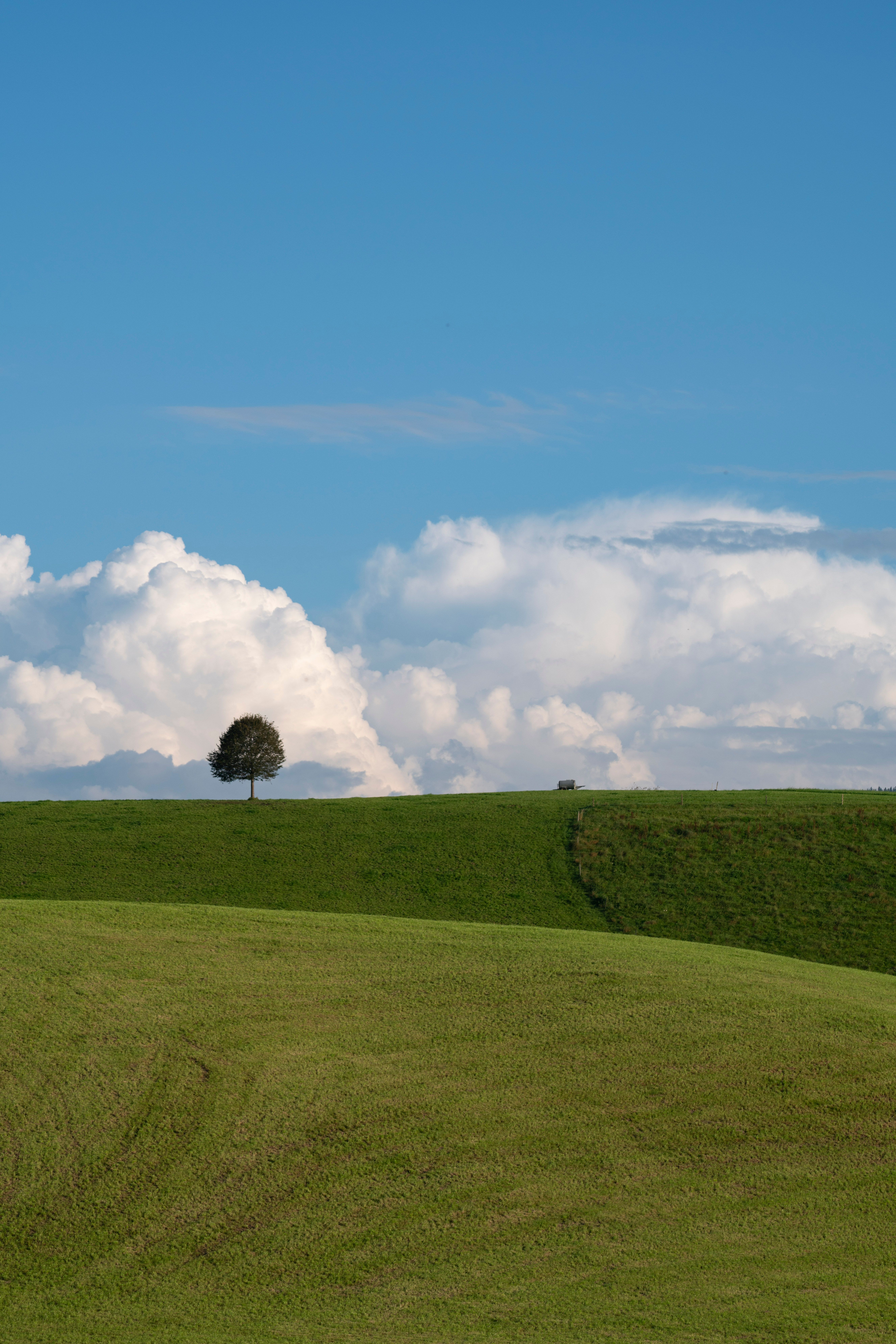 Serene Countryside Landscape with Lone Tree · Free Stock Photo