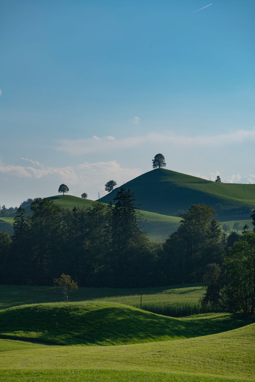 Serene Rolling Hills and Lush Greenery Landscape · Free Stock Photo