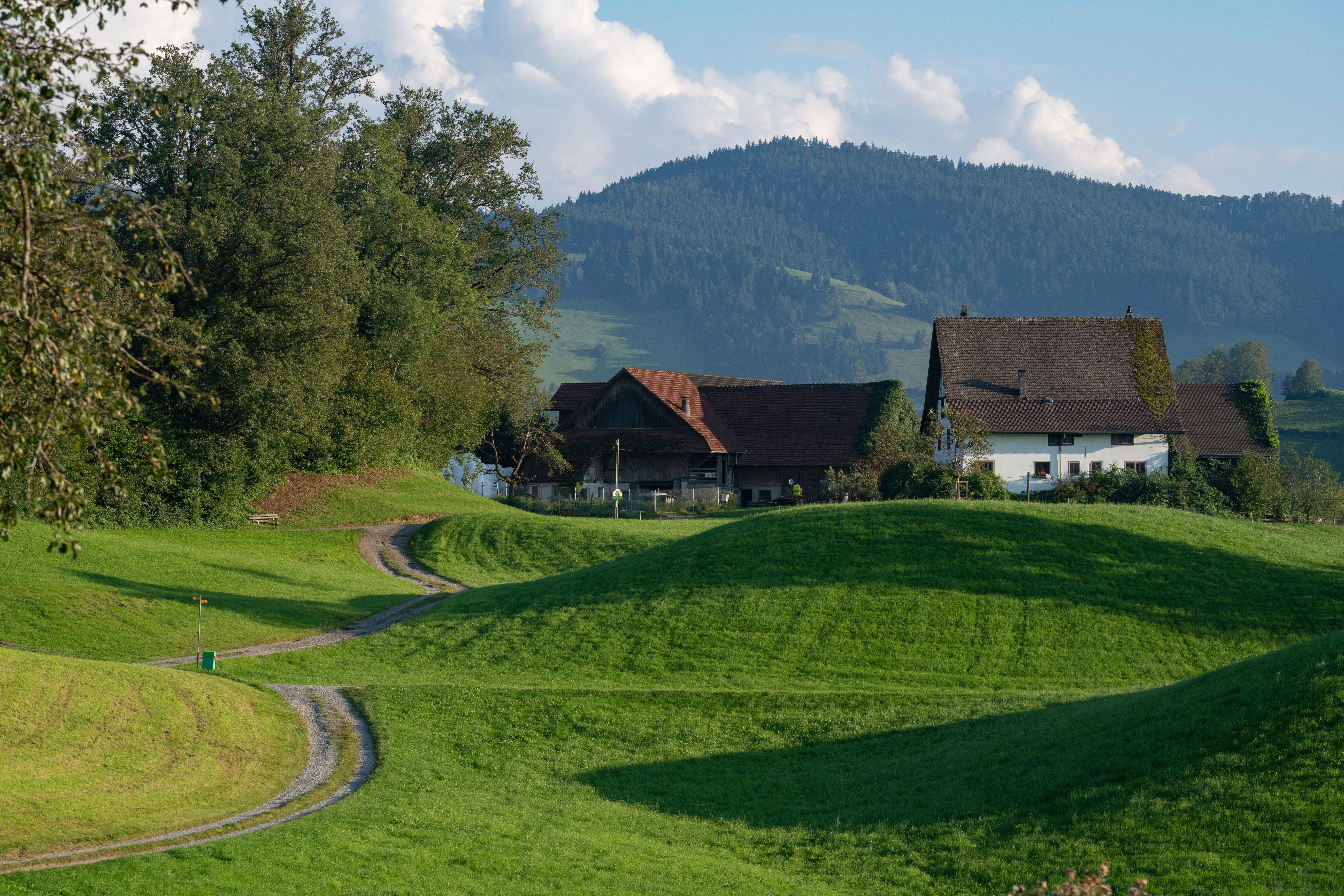 Charming farm stay with mountain backdrop in rural Switzerland