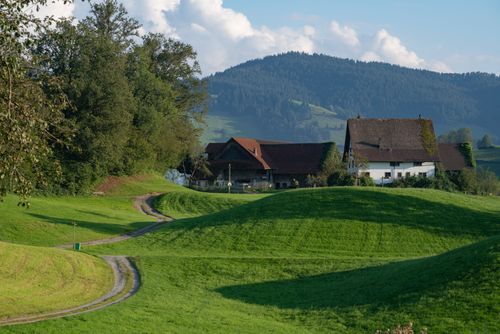 Free Charming rural Swiss landscape with rolling green hills and traditional farmhouses under a bright sky. Stock Photo