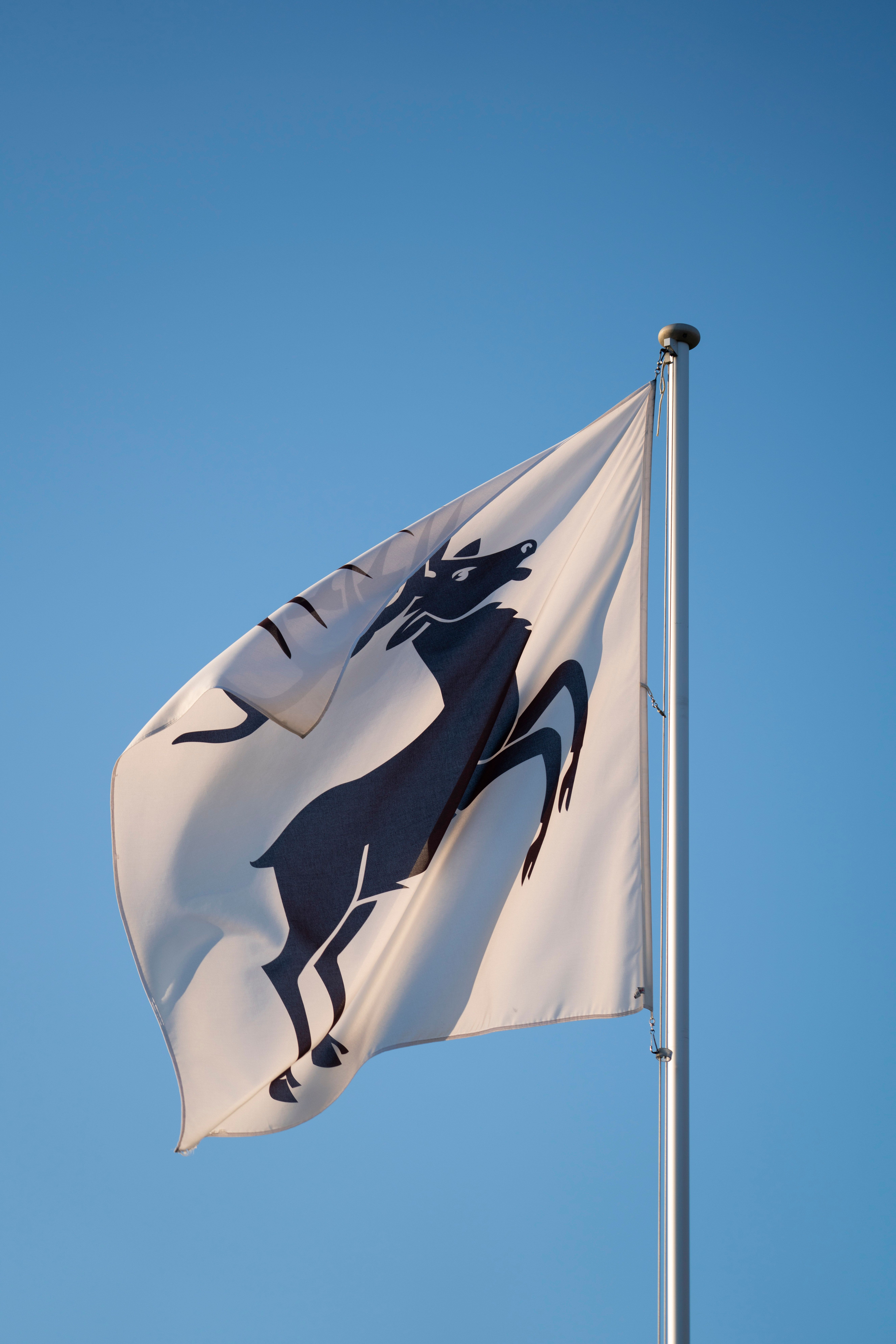 Hoisting Flags