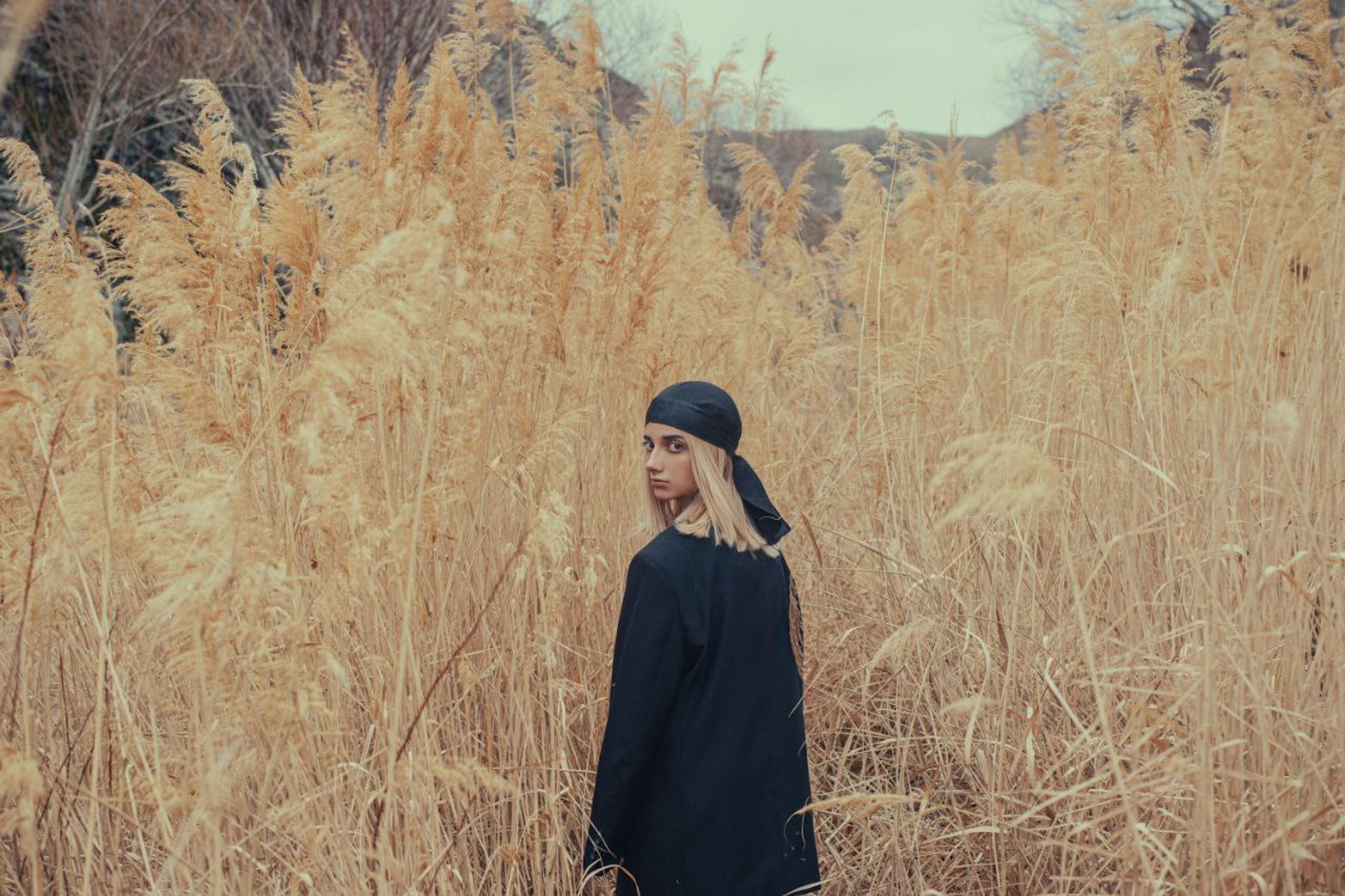 Person Standing in Tall Golden Grass Outdoors · Free Stock Photo