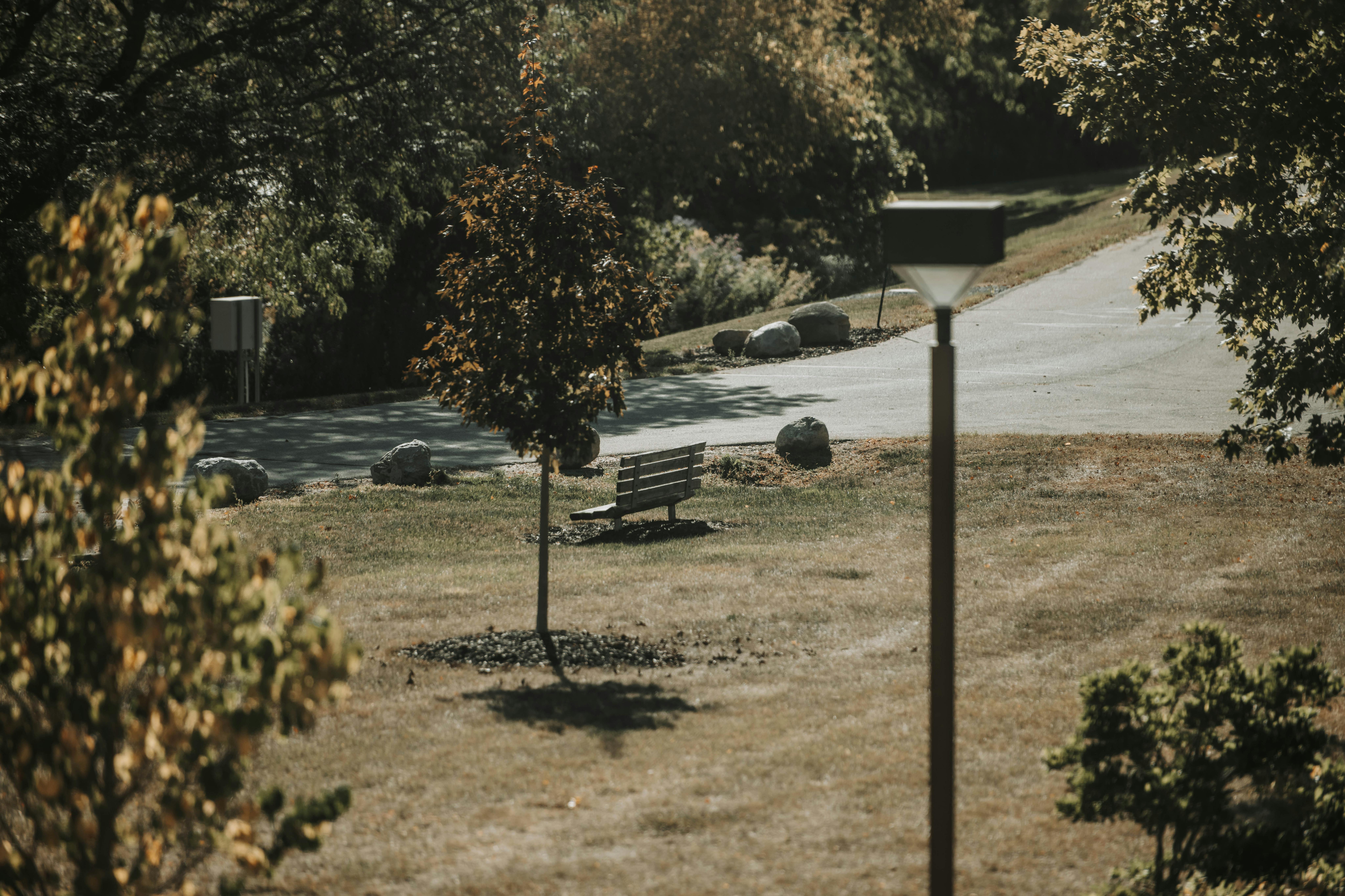 免費 威斯康辛州密爾瓦基寧靜的公園場景 圖庫相片