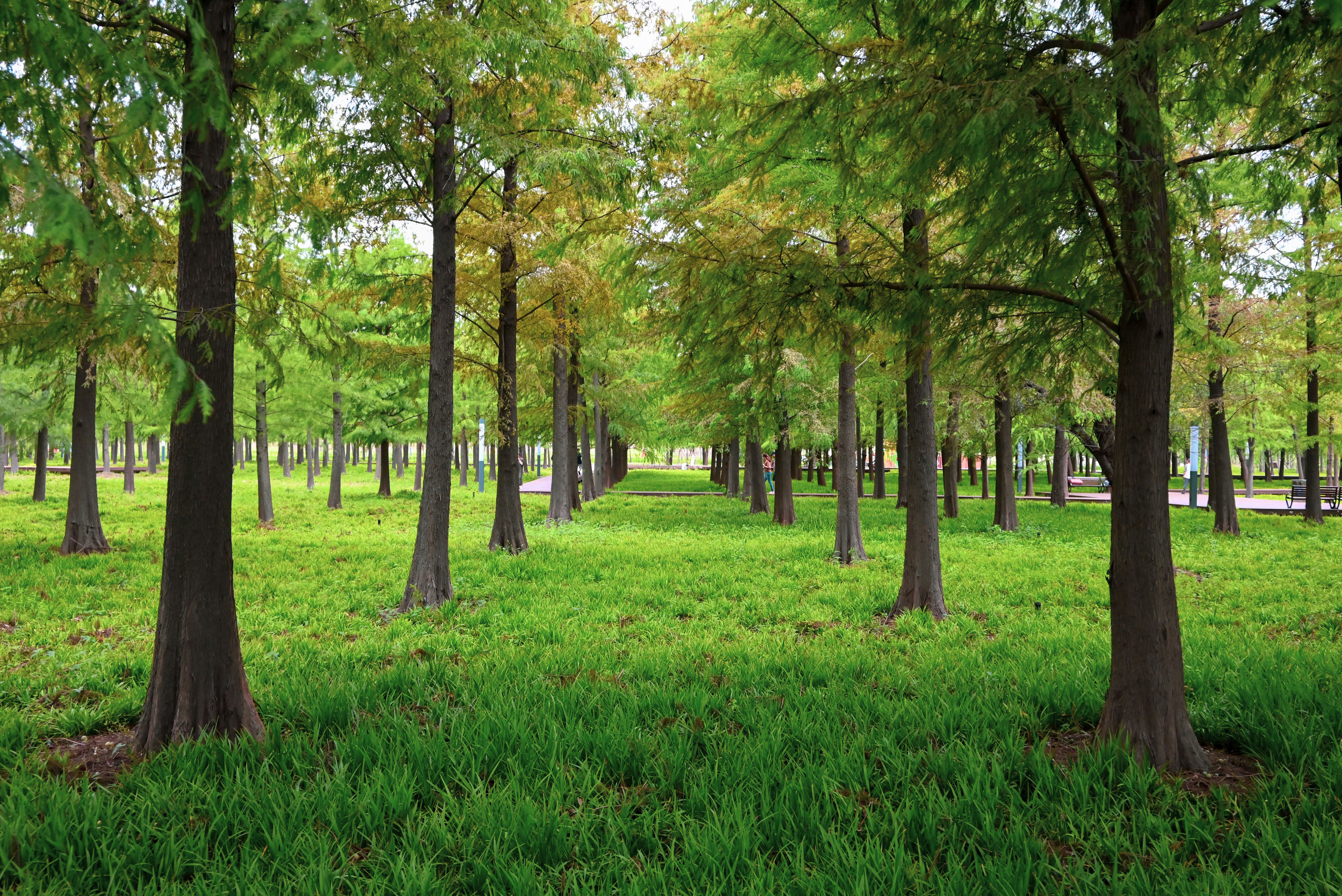 4 Day Men's Private Retreat: Let Go and Be You in New Orleans 2