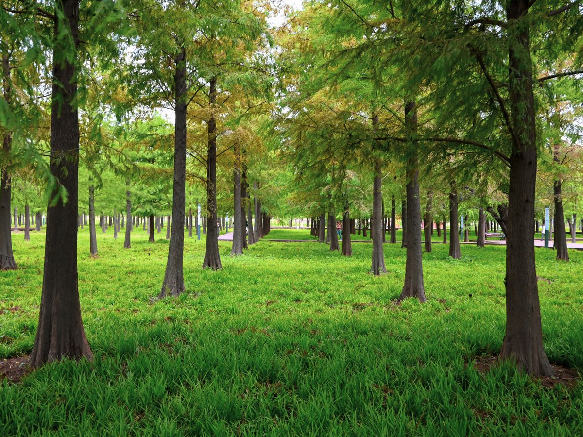 4 Day Men's Private Retreat: Let Go and Be You in New Orleans 2