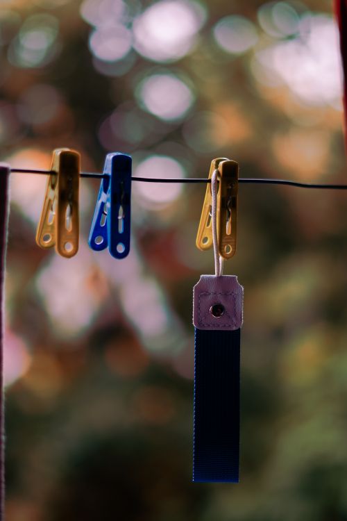 Free Vibrant clothespins hanging on a line with a soft bokeh background. Stock Photo
