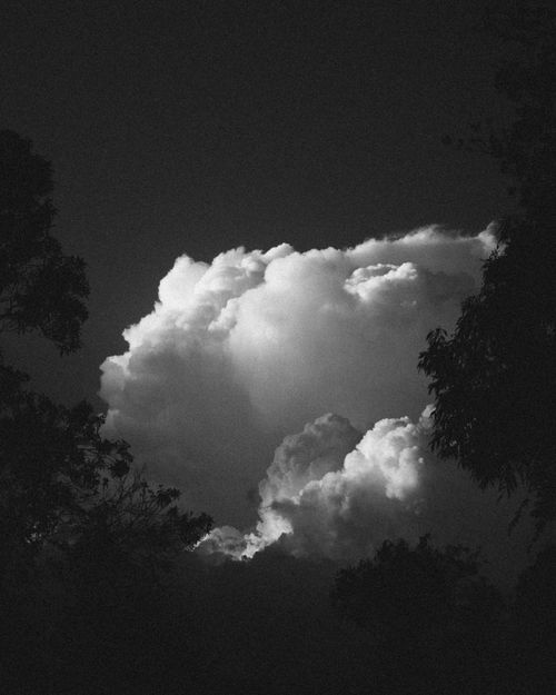 Free Striking black and white cloudscape with vivid contrast, framed by tree silhouettes. Stock Photo