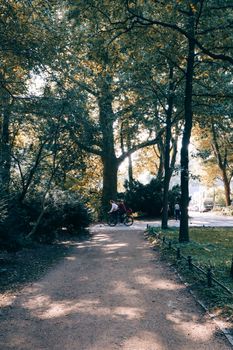 Cyclist enjoying a peaceful ride through Berlin's enchanting Tiergarten during late summer.