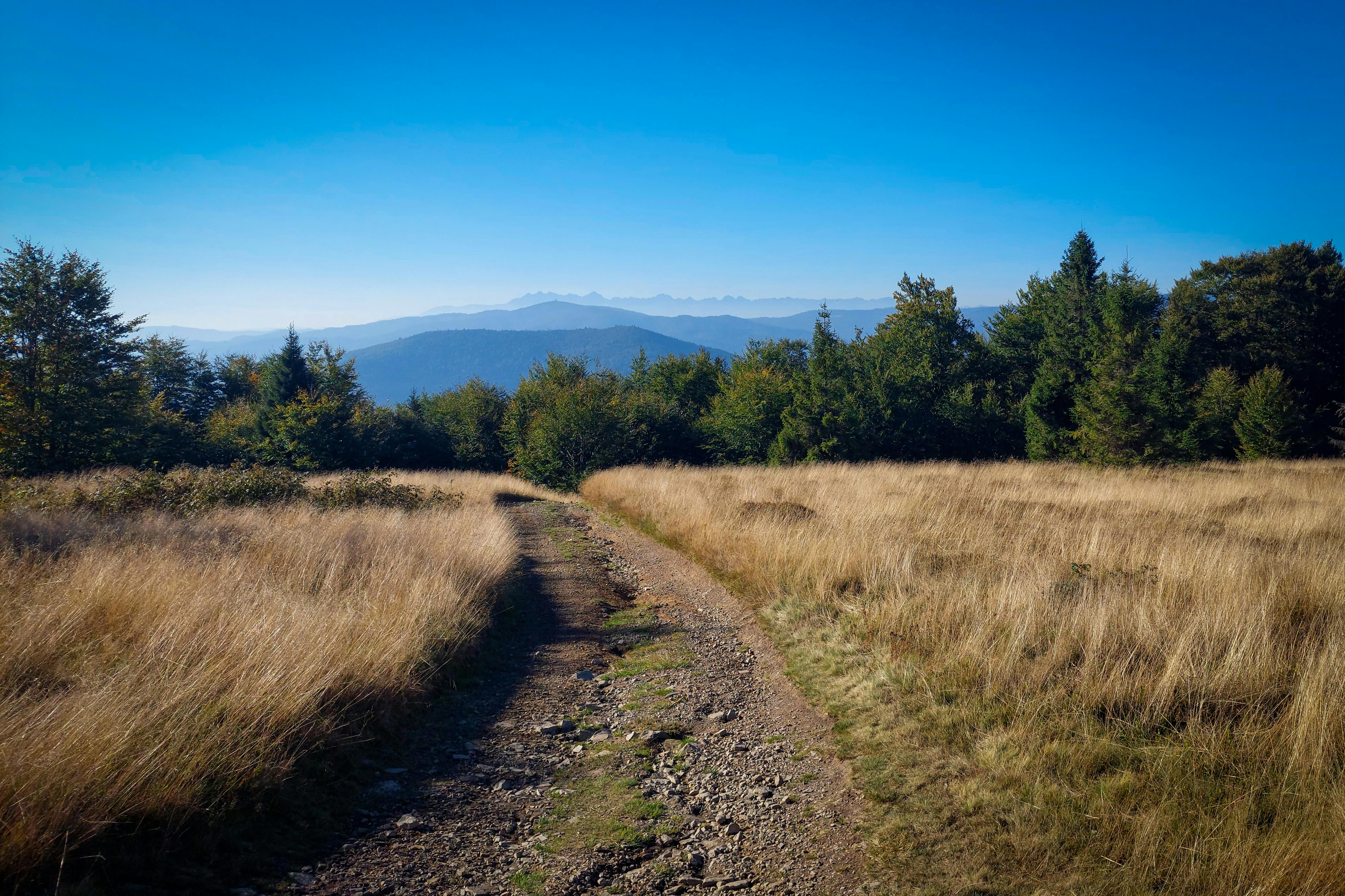 Hidden Masterpieces Waiting to be Discovered