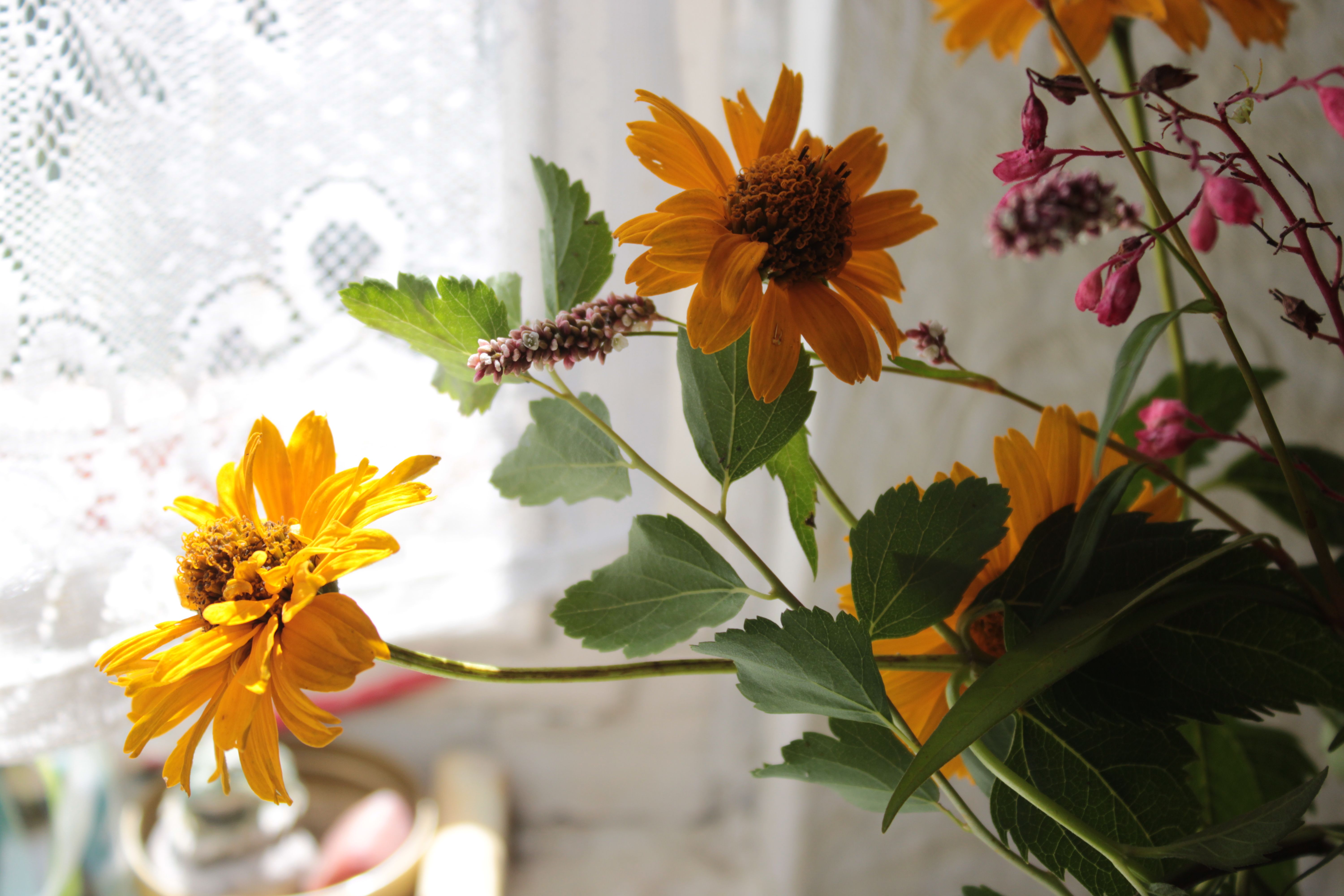 Sunlit yellow wildflowers near a lace curtain, creating a cozy indoor feel.