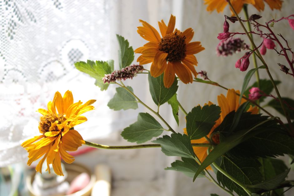 Sunlit yellow wildflowers near a lace curtain, creating a cozy indoor feel.