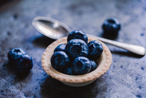 Free Bunch of Blueberries Stock Photo