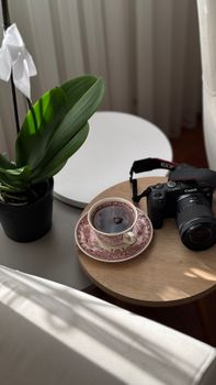 Serene setting with a floral teacup, camera, and potted plant indoors.