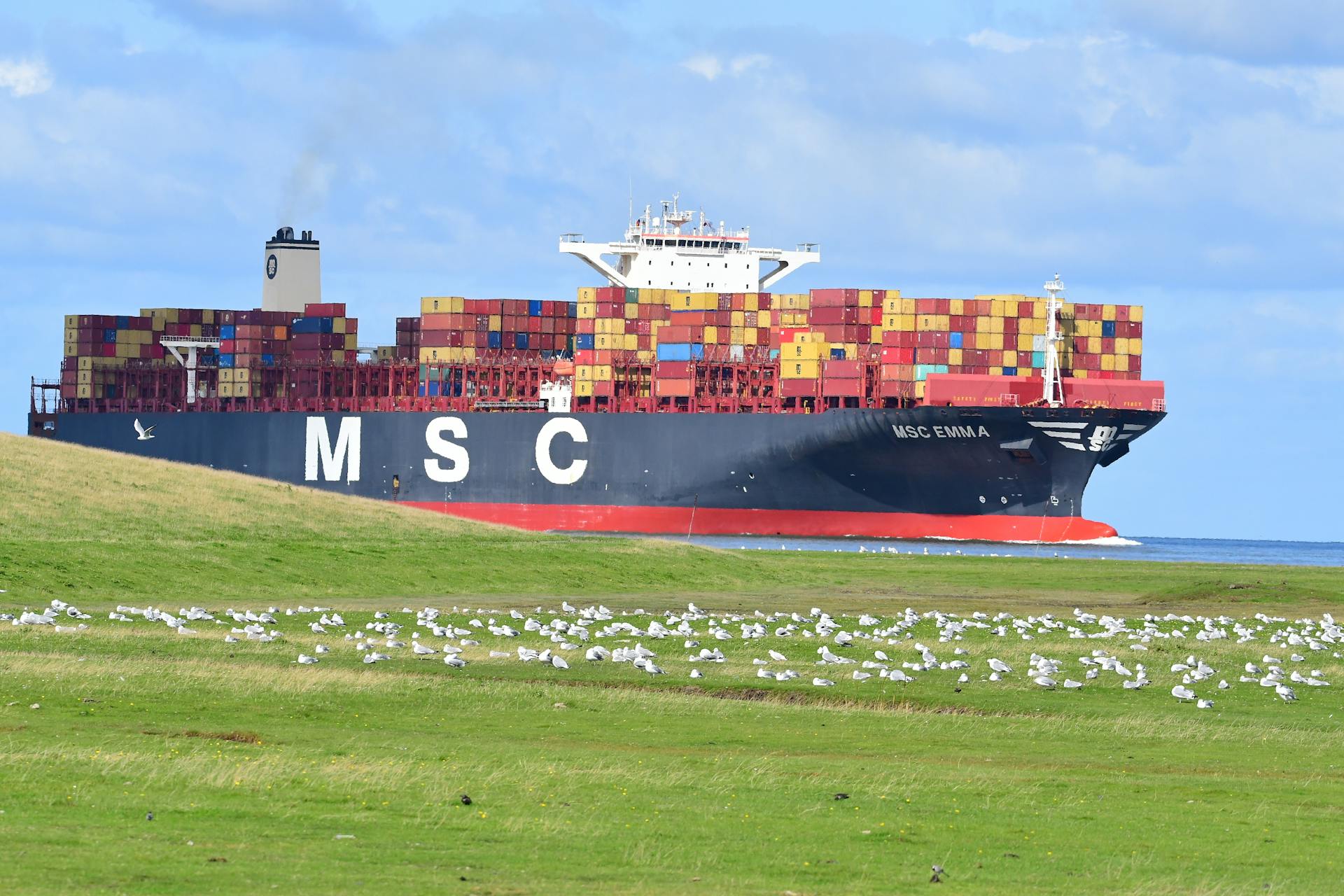 Large Container Ship Passing by Seagulls in Cuxhaven