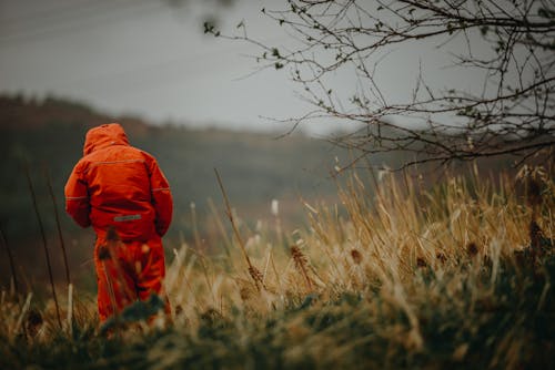 Photo of Person Standing on Grass