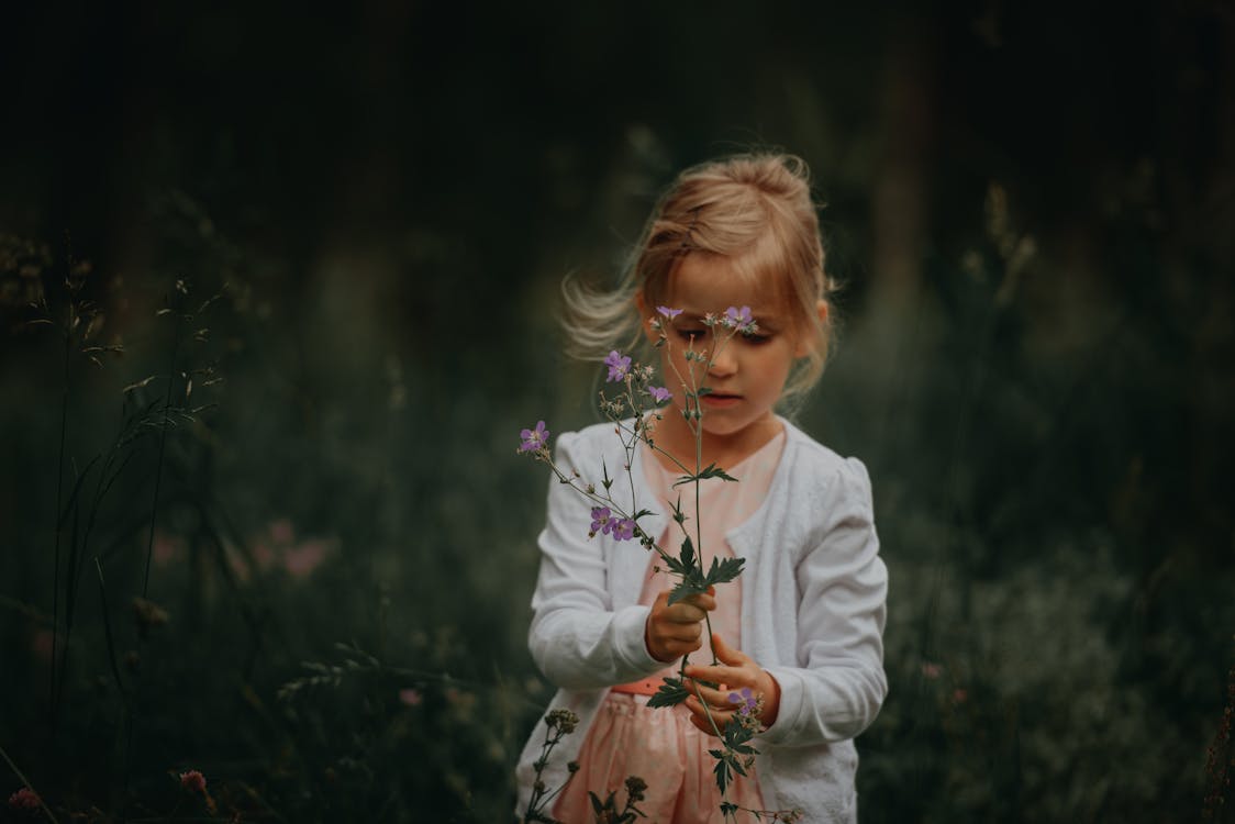 Free Girl Holding Flowering Plants Stock Photo