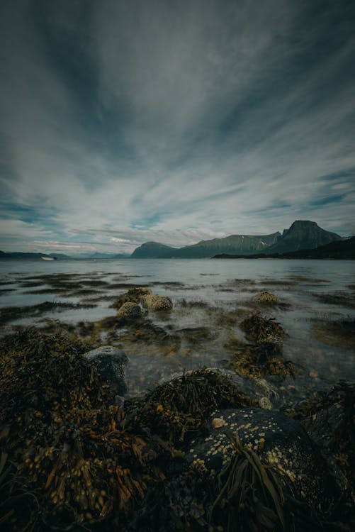 Kostnadsfri bild av clouds, dagsljus, hav