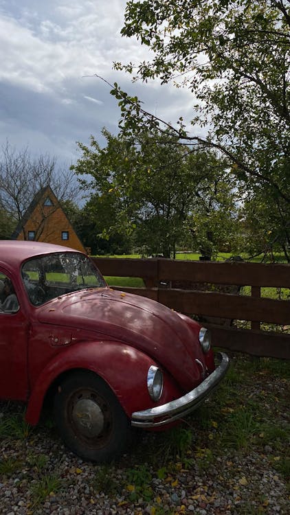 Vintage Red Beetle Car in Rustic Countryside Setting · Free Stock Photo