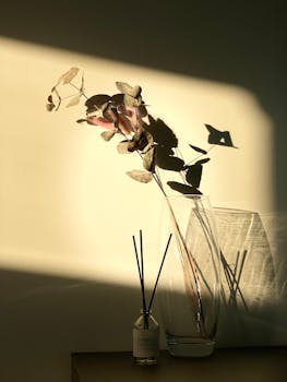 Eucalyptus in vase with shadows, enhanced by warm sunlight.
