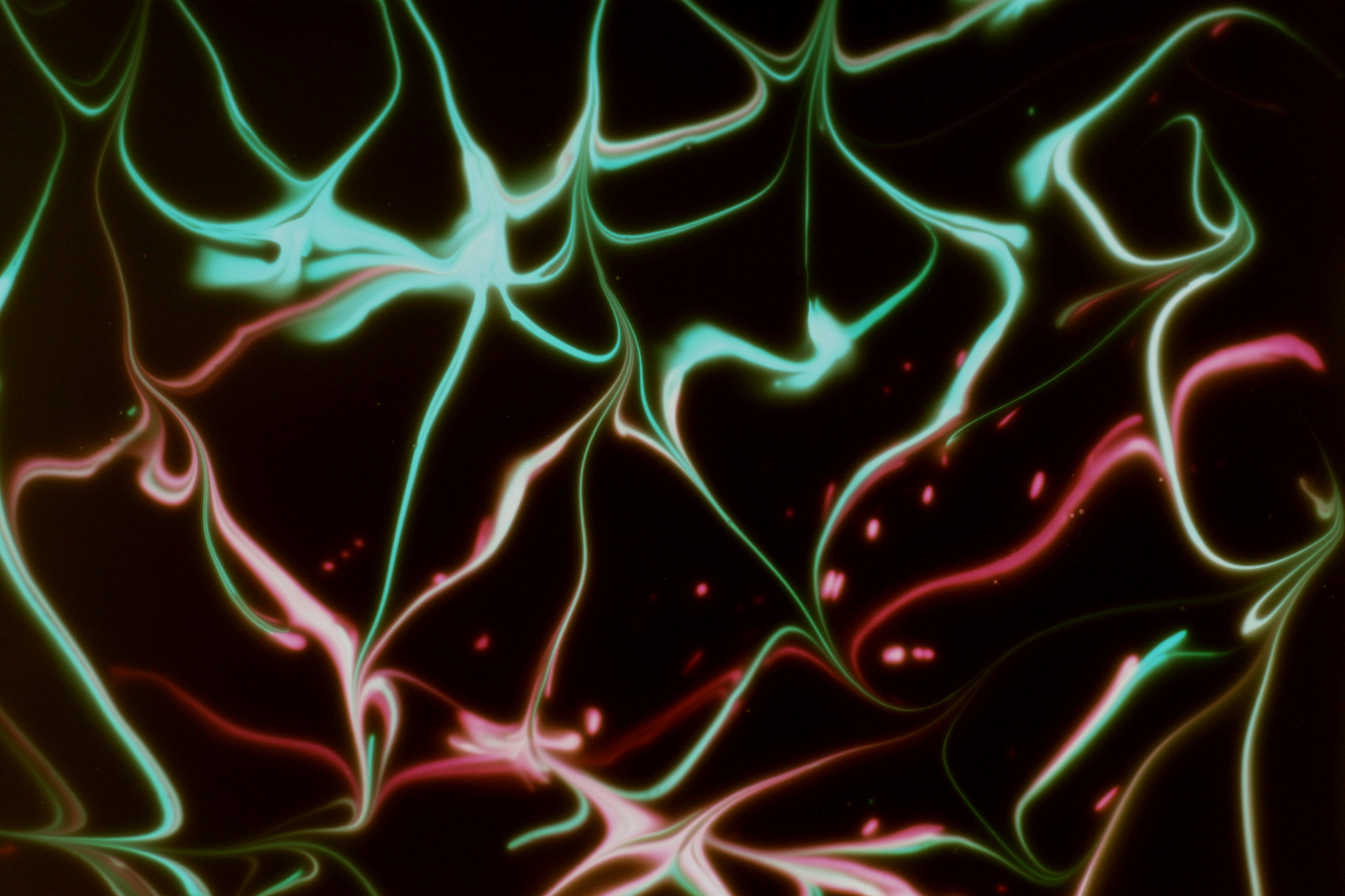 Zadarmo Abstraktné Svetlé Vzory S Neónovými Farbami Fotka z fotobanky