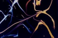 Abstract Colorful Fluid Art with Swirling Patterns