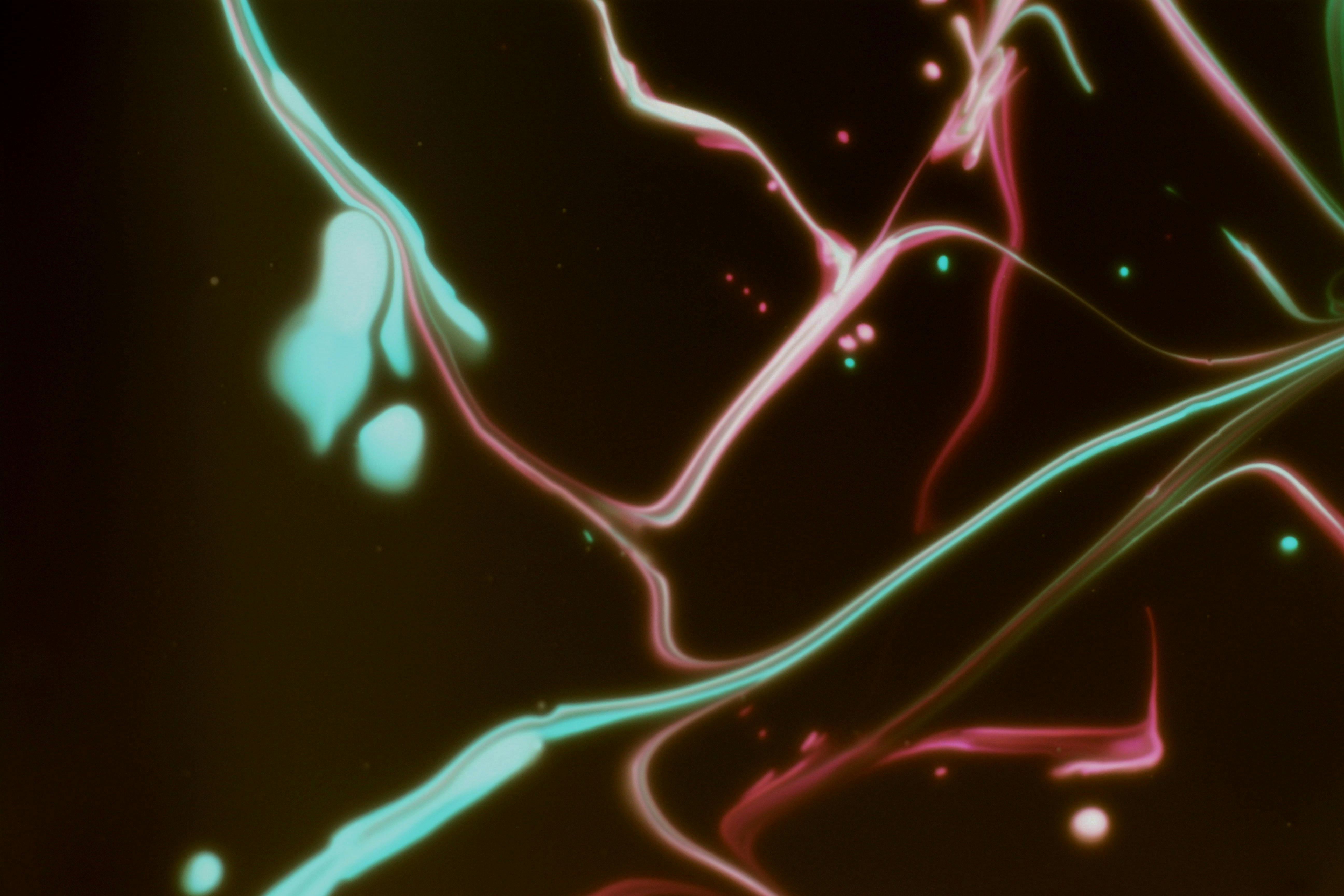 免费 深色背景上的抽象彩色光条纹 素材图片