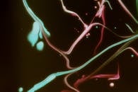 Abstract Colorful Light Streaks on Dark Background