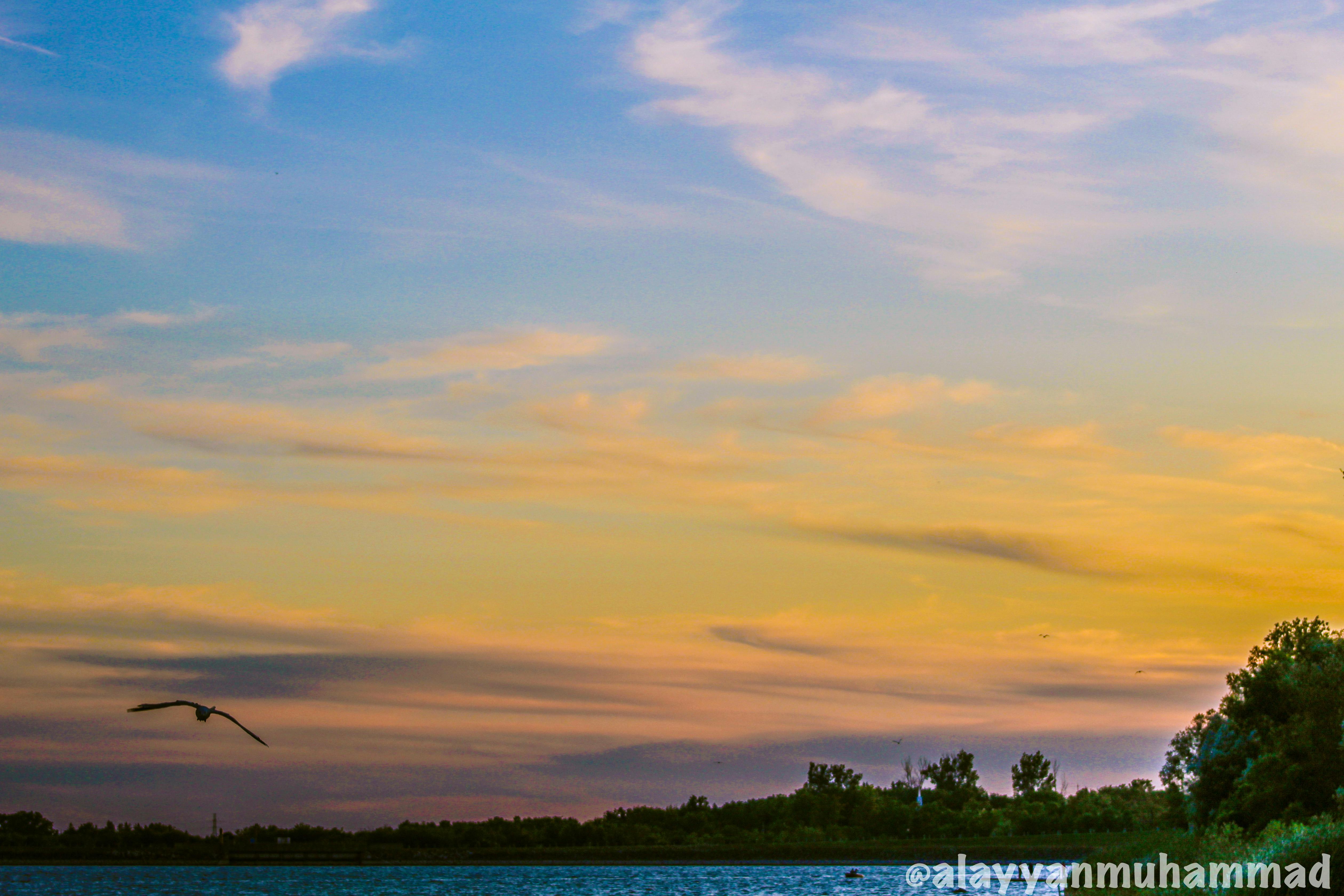 Lake Lucerne Private Cruise