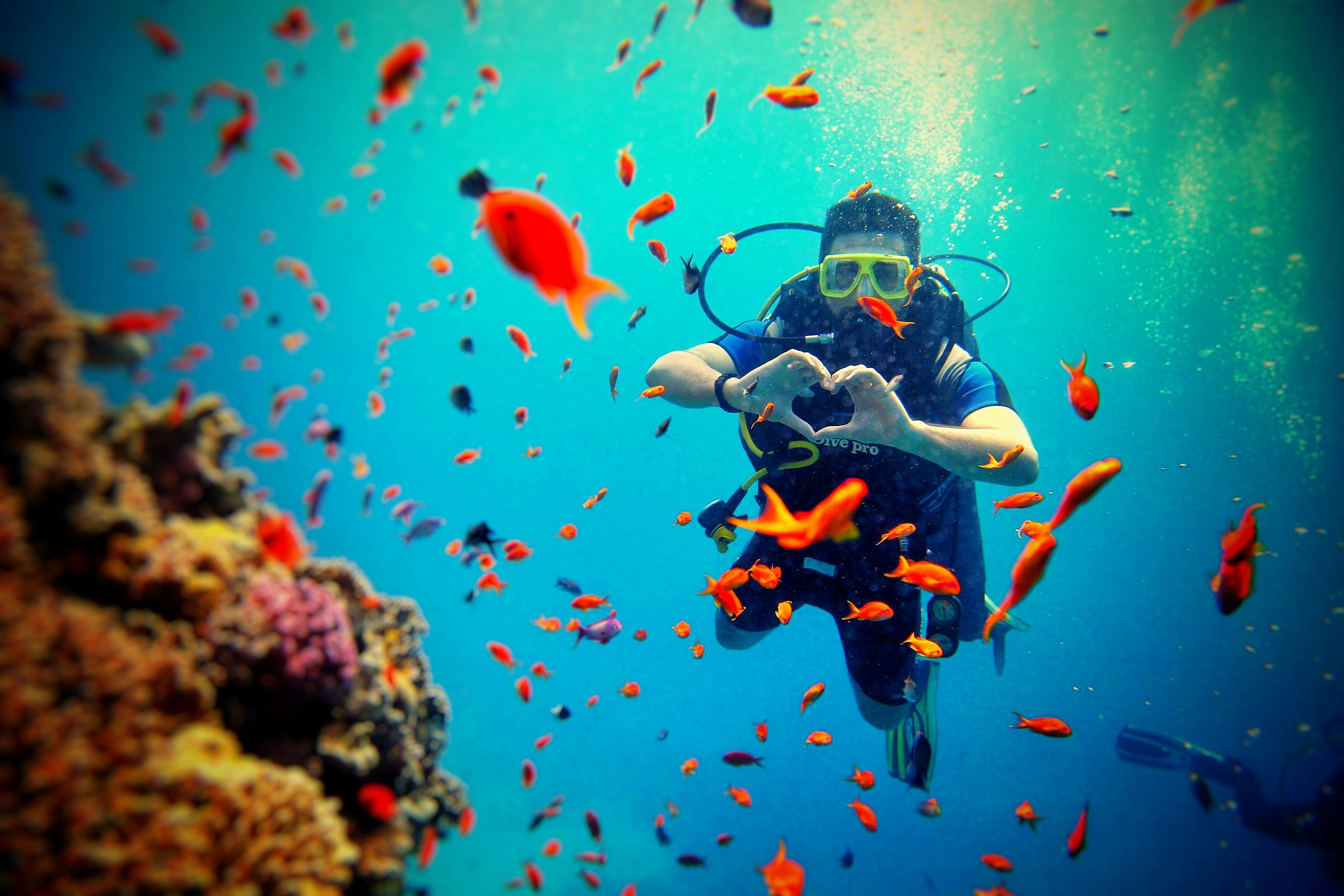 When to dive in Hurghada ?
