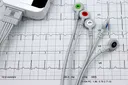Hidden Cardiometabolic Risk in Lean and Obese Adults: What Phenogroups Reveal