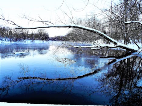 宁静的冬日景象中，白雪覆盖着河岸，平静冰冷的河面上倒映着霜冻的影子