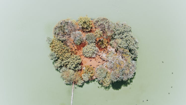 Aerial Photography Of Islet