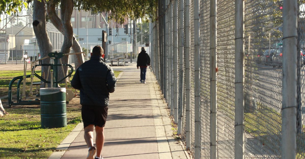 The Habit Runner