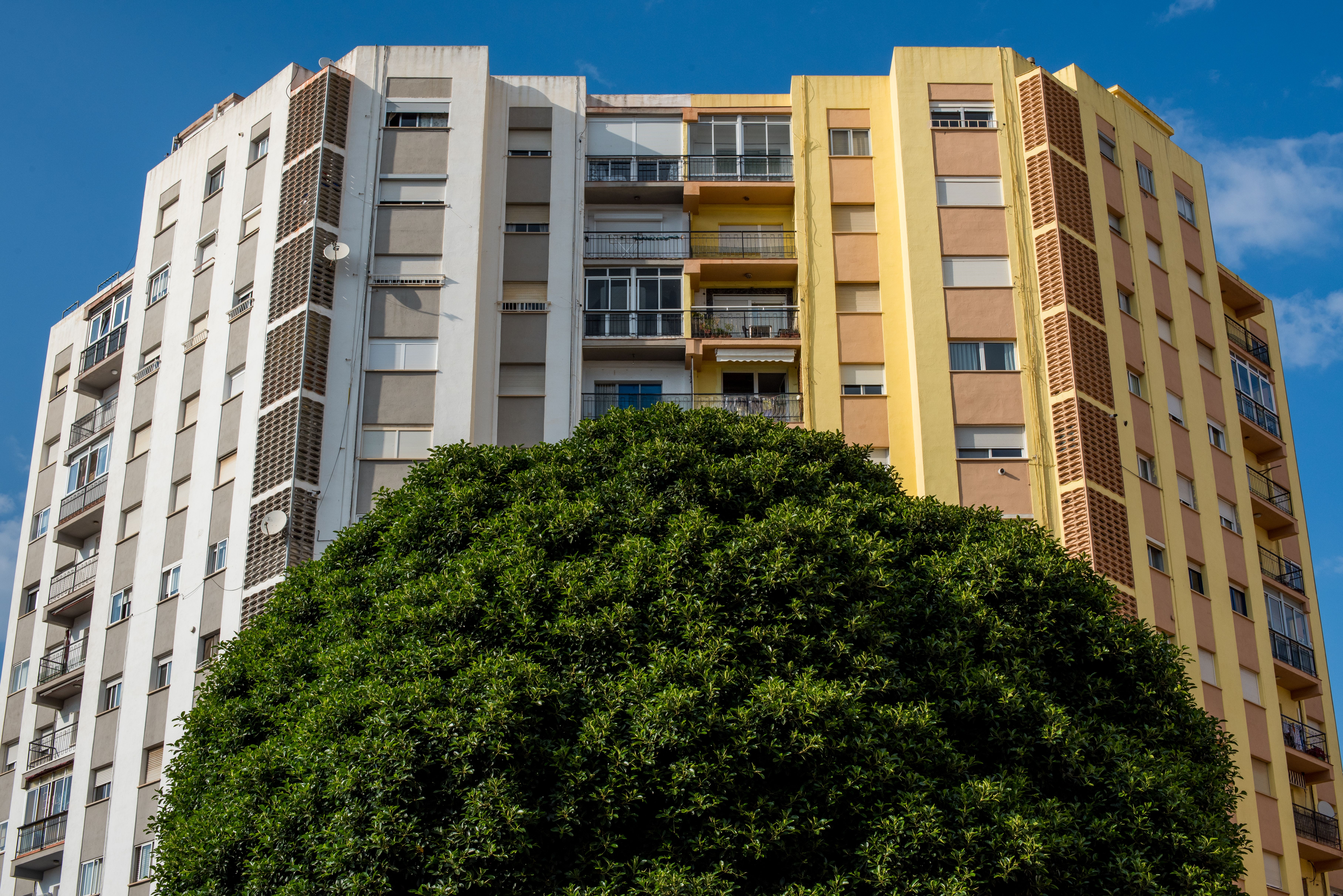 Modern Urban Apartment Building with Greenery · Free Stock Photo