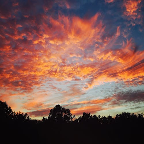 Silhouet Van Bomen Onder Oranje Bewolkte Dag