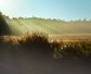 Artwork for Journey Through the Shadows: Exploring Trauma, Addiction, and Healing in the Light with Grant Aird
