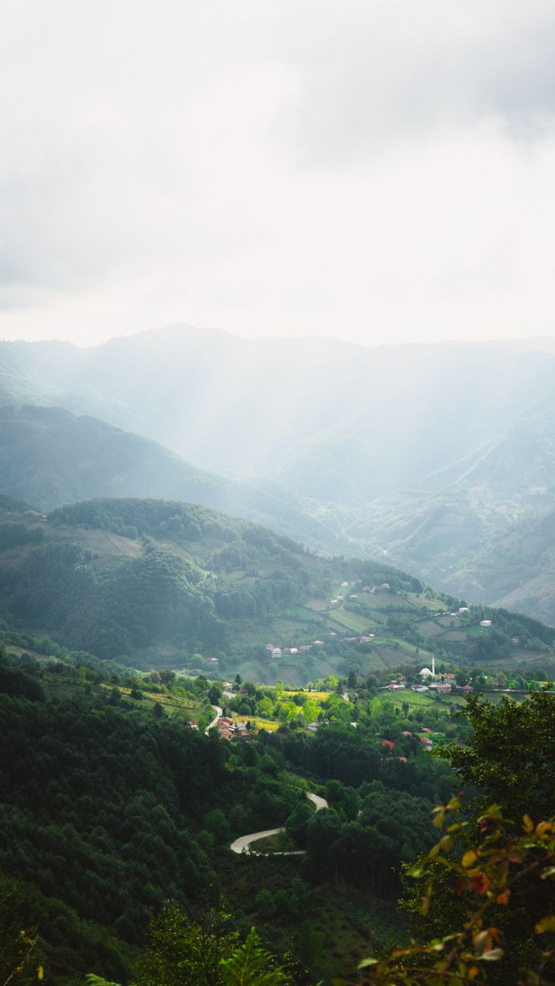 Karadeniz yaylaları