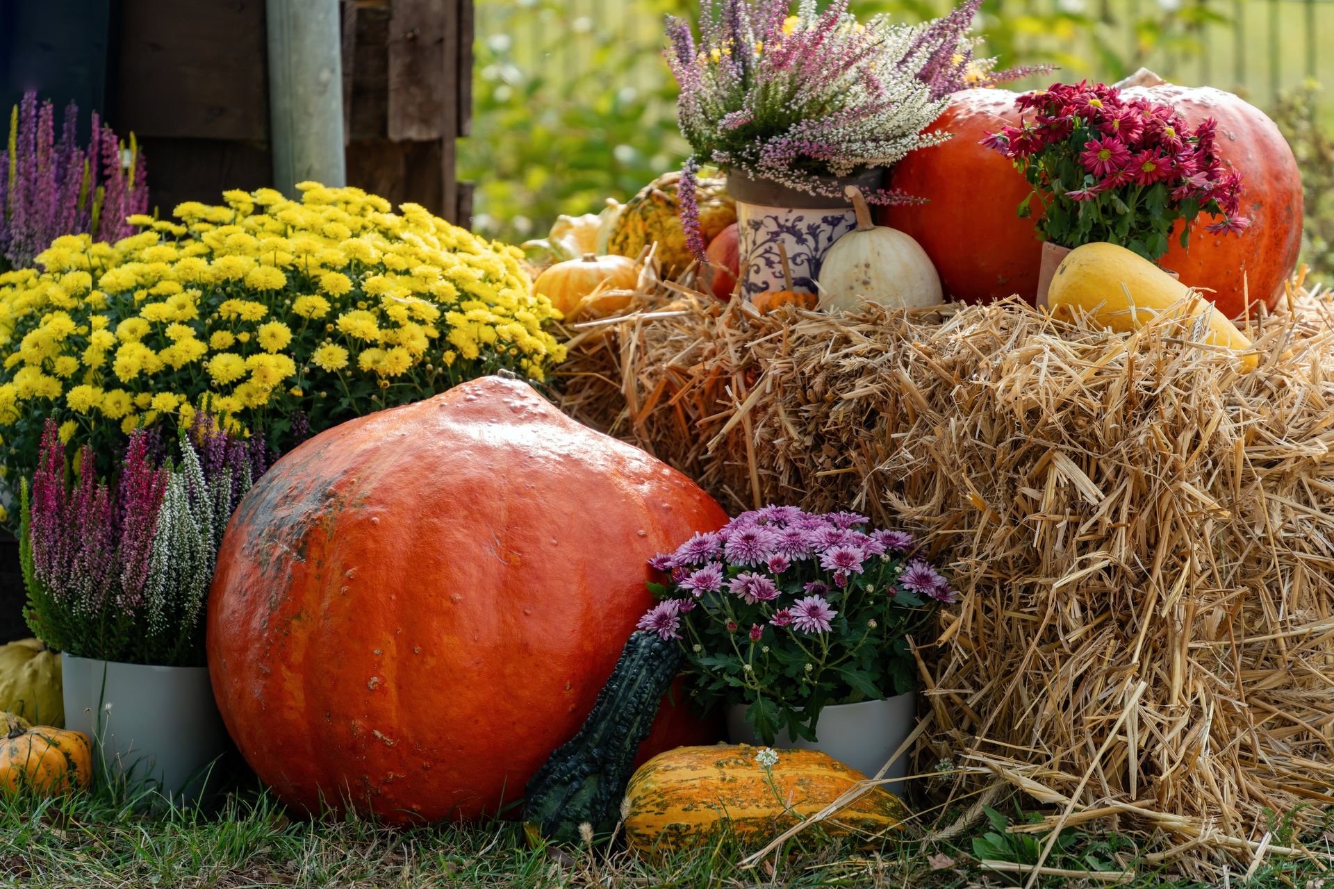 Colorful Fall Harvest Display with Pumpkins & Flowers