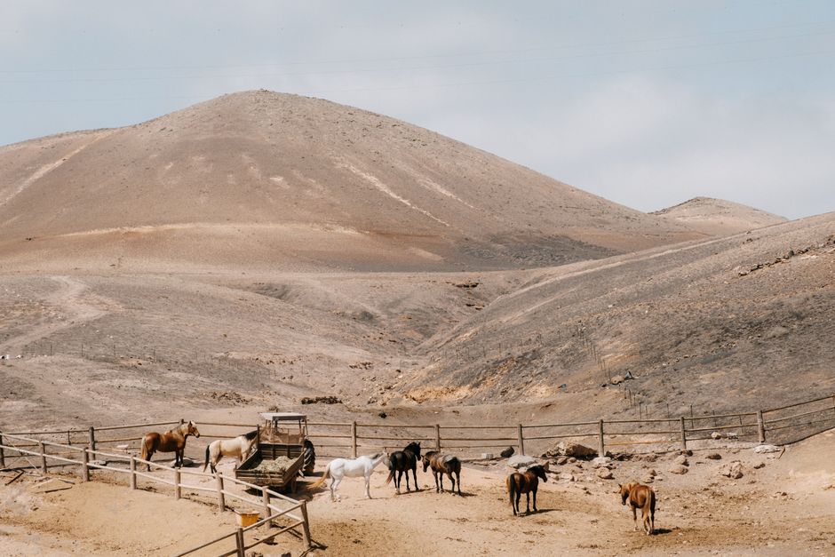 ¡Locura total! Tarifa error en Lanzarote desde 60€ p.p./noche